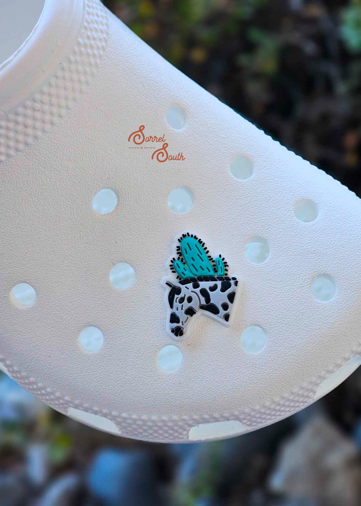 Appaloosa Cactus Shoe Charm shoe charm Sorrel South
