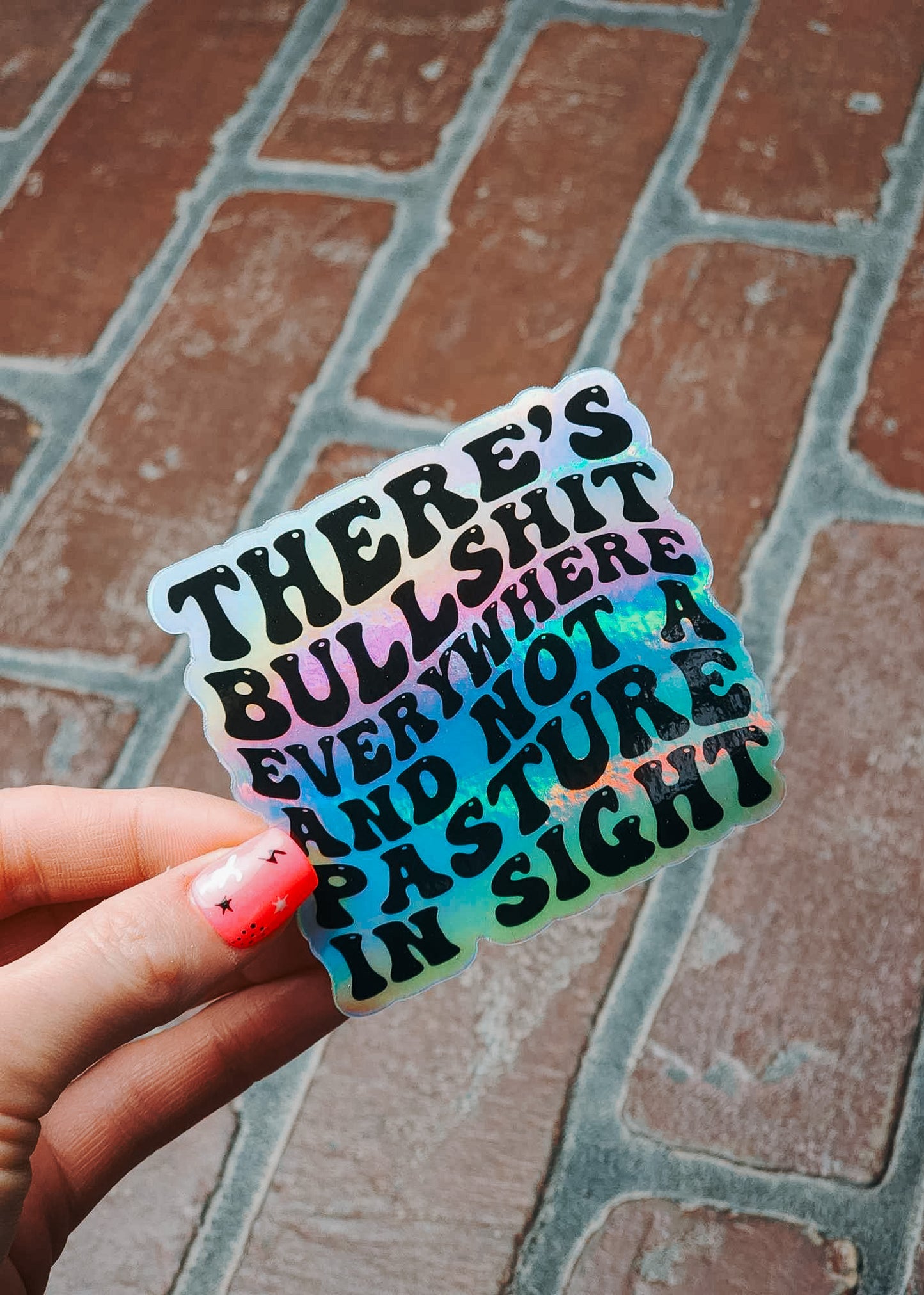 Holographic BS Everywhere Sticker - Pack of 5 sticker Sorrel South