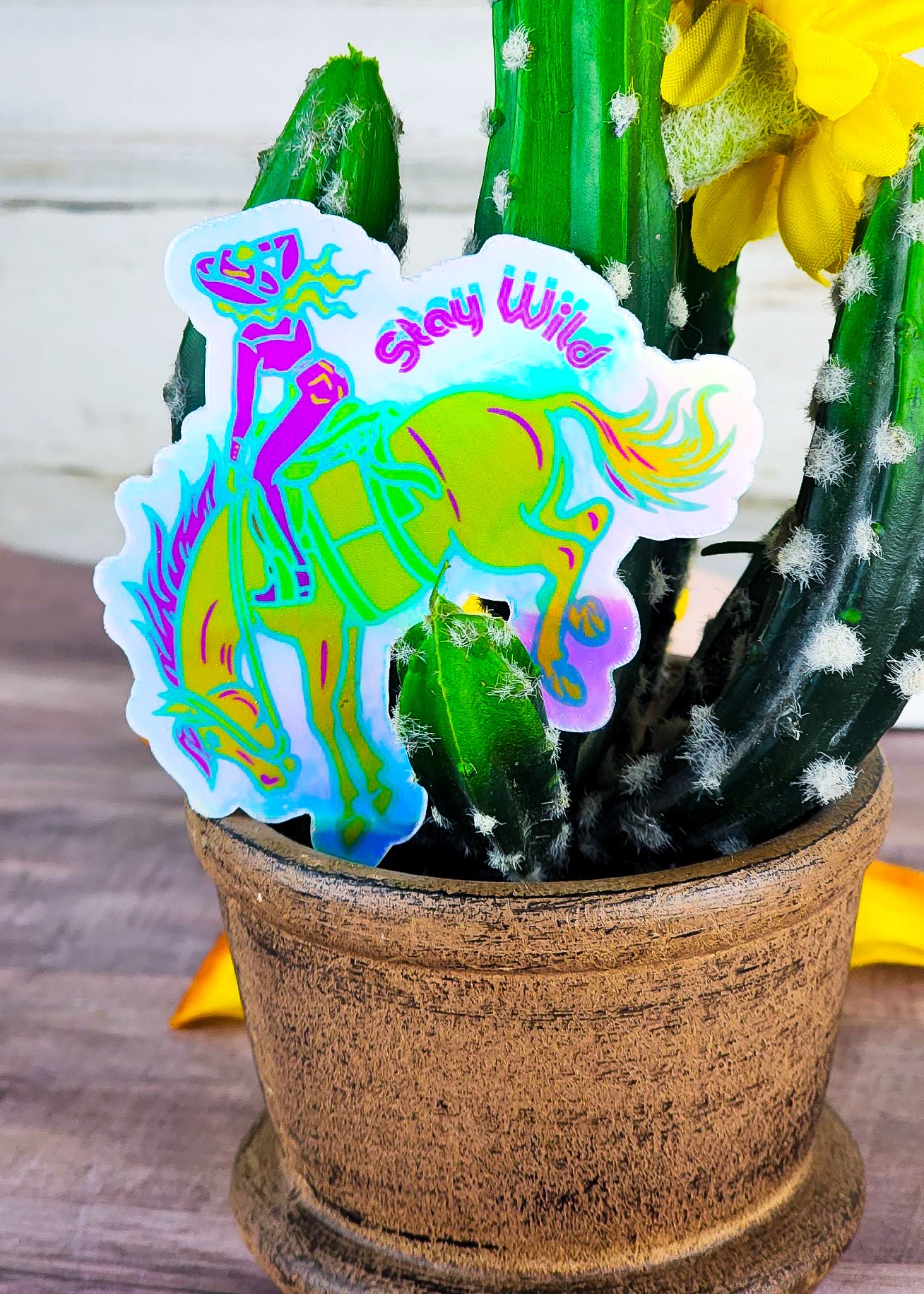 Holographic Stay Wild Sticker - Pack of 5 sticker Sorrel South