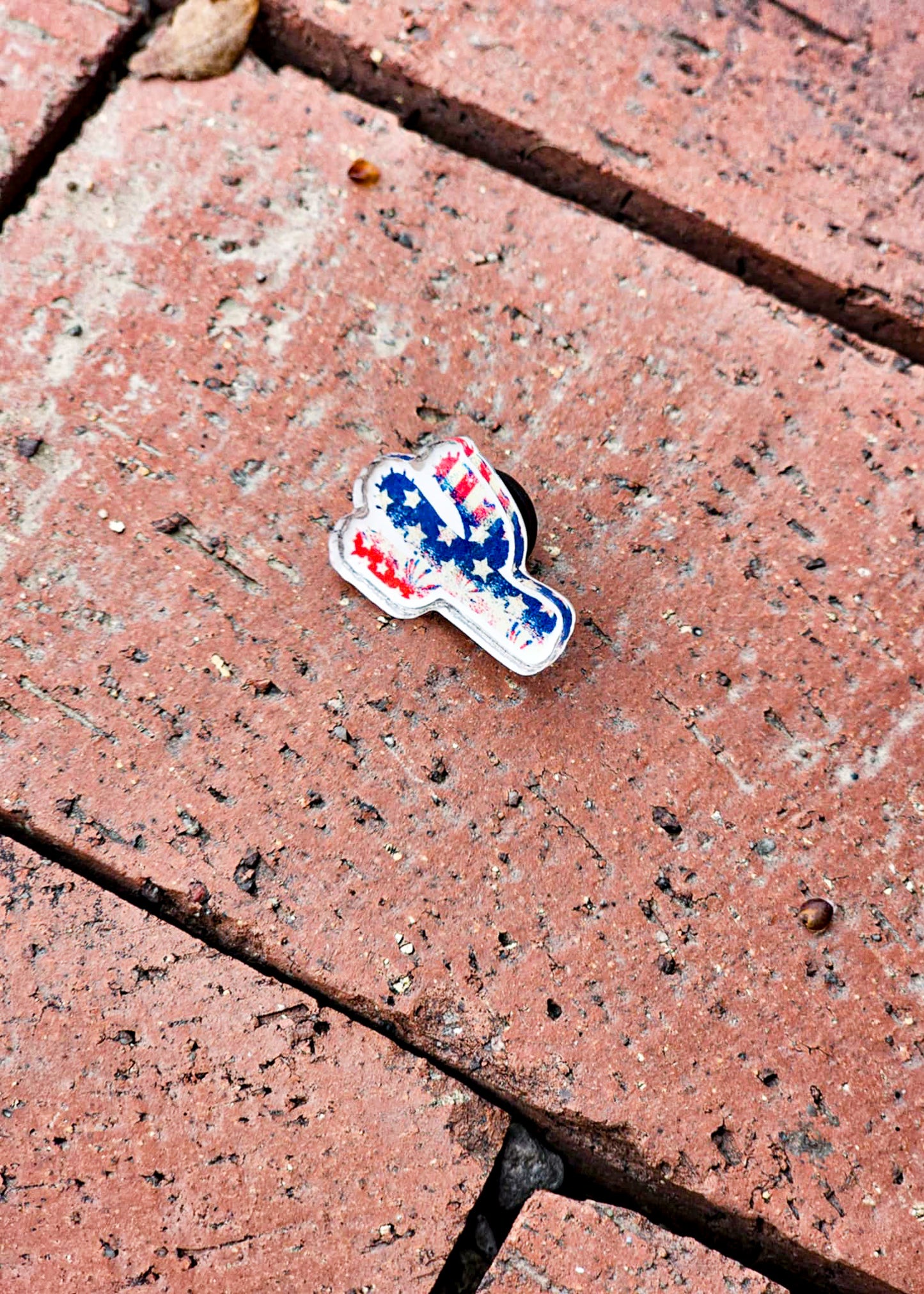 Patriotic Cactus Pin