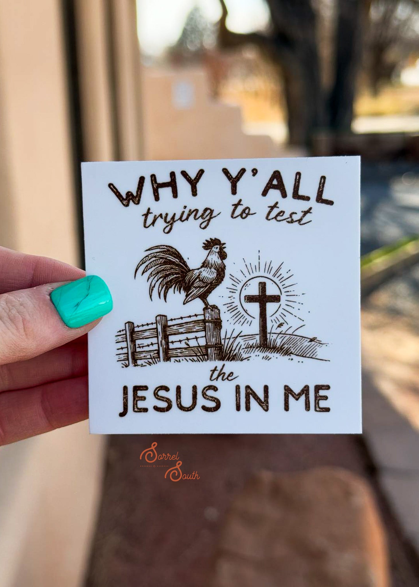 Test The Jesus In Me Sticker 
